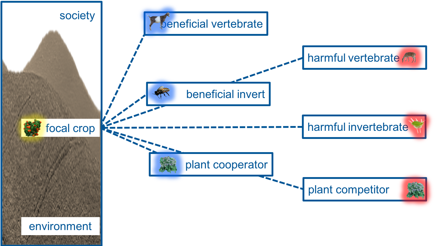 agroecosystem linkages